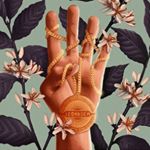 Profile Picture of tim david (@timdavd) on Instagram