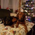 Profile Picture of Richard Olsen (@mugganolsen) on Instagram