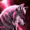 Profile Picture of Jérôme Granger (@@jeromegranger) on Tiktok
