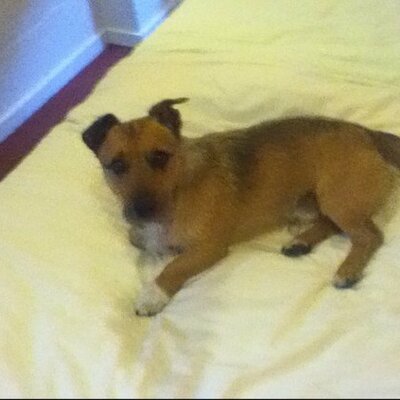 Profile Picture of Ik Ben Spike (@@ikbenspike) on Twitter