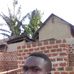 Profile Picture of Nagambye Robert (@nagambye.robert) on Facebook