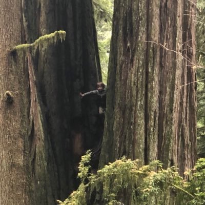 Profile Picture of George Mavris (@gmavris) on Twitter