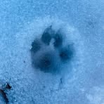 Profile Picture of Michael Guyer (@michael.guyer.332) on Facebook