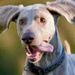 Profile Picture of Julia Everitt (@jueve2470) on Pinterest