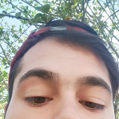 Profile Picture of Wasim Karim (@WasimKarim17) on Twitter