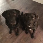 Profile Picture of Cassandra Kellogg (@cassandrakellogg) on Instagram