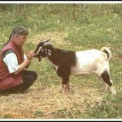 Profile Picture of Sandcroft (@Sandcroft) on Youtube