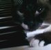 Profile Picture of Hubert Bateman (@hubert.bateman.1) on Facebook