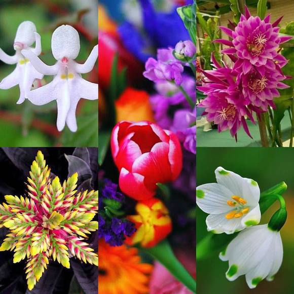 Zamena Etwaroo - Poshmark Profile Picture of Zamena Etwaroo (@zetwar60) on Poshmark