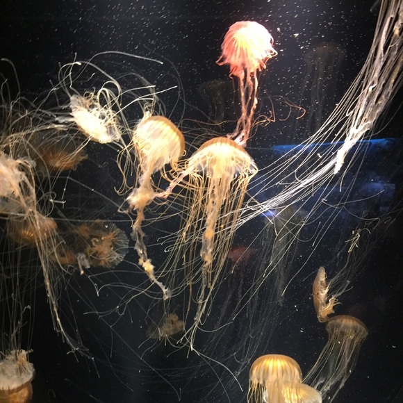 Adi Glonek - Poshmark Profile Picture of Adi Glonek (@adiglo) on Poshmark