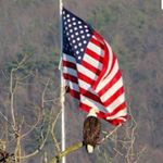 Profile Picture of gavin.gillette7 (@gavin.gillette7) on Instagram