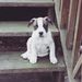 Profile Picture of Anne Scott Roe (@asroe1) on Pinterest
