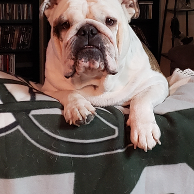 Profile Picture of John Savino (@janopoulospaint) on Twitter