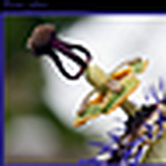 Ron Leezer - Flickr Profile Picture of Ron Leezer (@ronleezer) on Flickr