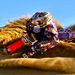 Profile Picture of Zachary Hayes (@zacharyh773) on Pinterest