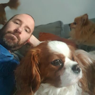 Profile Picture of Tom Harding (@GunslingerX1983) on Twitter