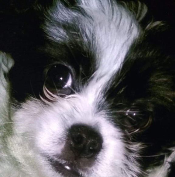 Profile Picture of Jo Wyatt (@motognuwave) on Poshmark