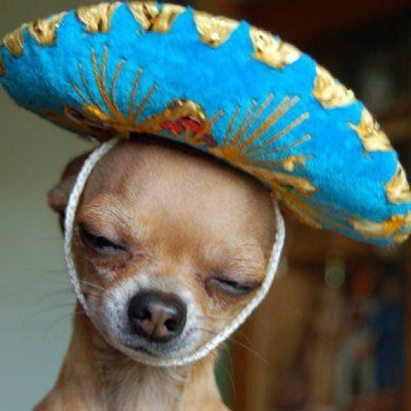 Profile Picture of R Flores (@romanflores) on Poshmark