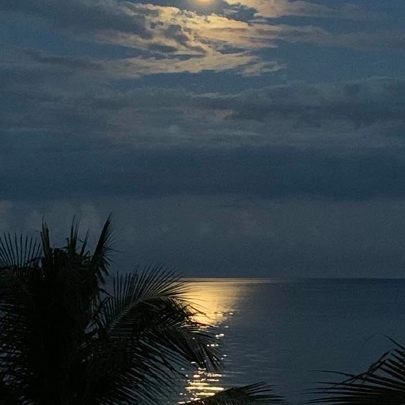 Stephanie Revere - Poshmark Profile Picture of Stephanie Revere (@steph8975) on Poshmark