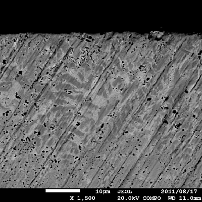 Profile Picture of Annealing_Zr-based (@Annealing_SWD) on Twitter