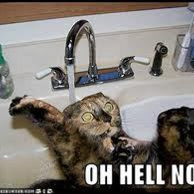 Profile Picture of SETH DONALEE PRUETT (@PRUETTSeth) on Twitter