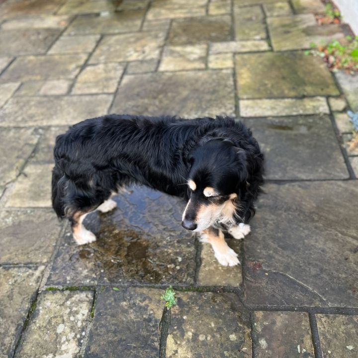 Profile Picture of McShlawgalinski (@mcshlawgalinski) on Tiktok