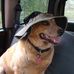 Profile Picture of Nancy Dindinger (Nancy Eager Dindinger) (@nancy.dindinger.9) on Facebook