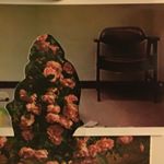 Profile Picture of Eric Taggart (@the_strange_situation) on Instagram