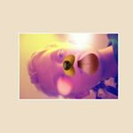 Profile Picture of Joseph (@birdsong532) on Instagram