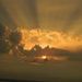 Profile Picture of June Stathis Browne (@junebrowne) on Pinterest