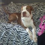 Profile Picture of Kimberly Endsley (@kim_endsley) on Instagram