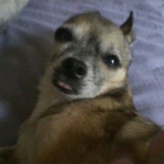 Profile Picture of Cheryl Stabler (@cheryl.stabler.71) on Facebook