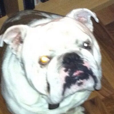 Profile Picture of Rene Anders (@30459Rene) on Twitter
