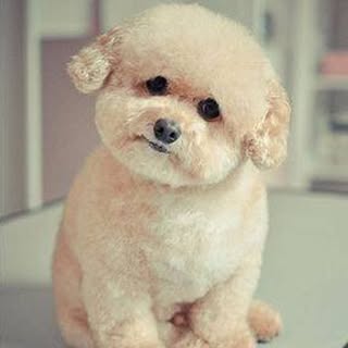 Profile Picture of Dung Nguyen (@dungguyen_) on Instagram