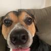 Profile Picture of james (@@james.conaghan) on Tiktok