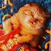 Profile Picture of Amber Summer (@ambers6295) on Pinterest
