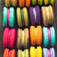 Profile Picture of Hans Peter Gull (@gull_hans) on Twitter