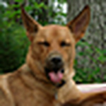 Profile Picture of Alison Blake Shaw (@alison blake shaw) on Flickr