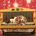 Profile Picture of Shirley Richards (@shirley.richards.752487) on Facebook