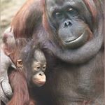 bianca perkins - Instagram Profile Picture of bianca perkins (@bianca9687kn) on Instagram