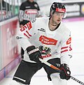 Profile Picture of Raphael Wolf (ice hockey)on Wikipedia
