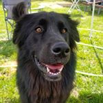 Profile Picture of Cory Thorne (@cory_thorne1096) on Instagram