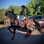 Profile Picture of Bregeth (@bregeth) on Instagram