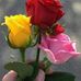 Profile Picture of Pratapkumar Kumar (@pratapkumar.kumar.5661) on Facebook