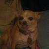 Profile Picture of Cora Kerns (@@corakerns3) on Tiktok