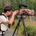 Profile Picture of Robert Meyer (@robsbirds) on Instagram