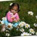 Profile Picture of Bella Chessare (@bchessare) on Pinterest