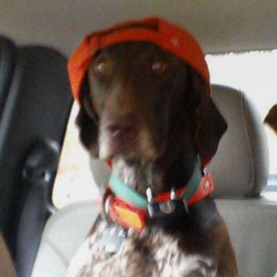 Profile Picture of Jimmy Wheeler (@jamama171) on Twitter