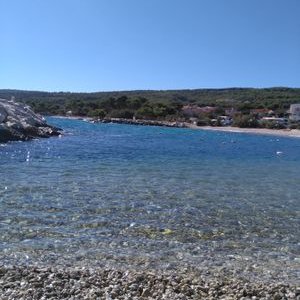 Profile Picture of Sanja Mikelic (@njasamik) on Twitter