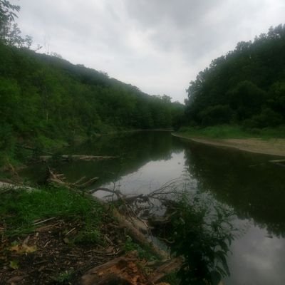 Profile Picture of Robert Iseman (@robert_iseman) on Twitter